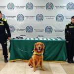 Max, perro de la Policía detectó dos kilos de droga en un maletín abandonado en Armenia