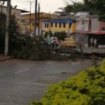 Vendaval generó inundaciones y caída de árbol en el centro de Armenia