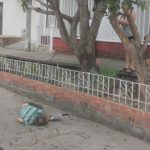 Habitante de calle se subió a un árbol a coger guayabas, se cayó y murió